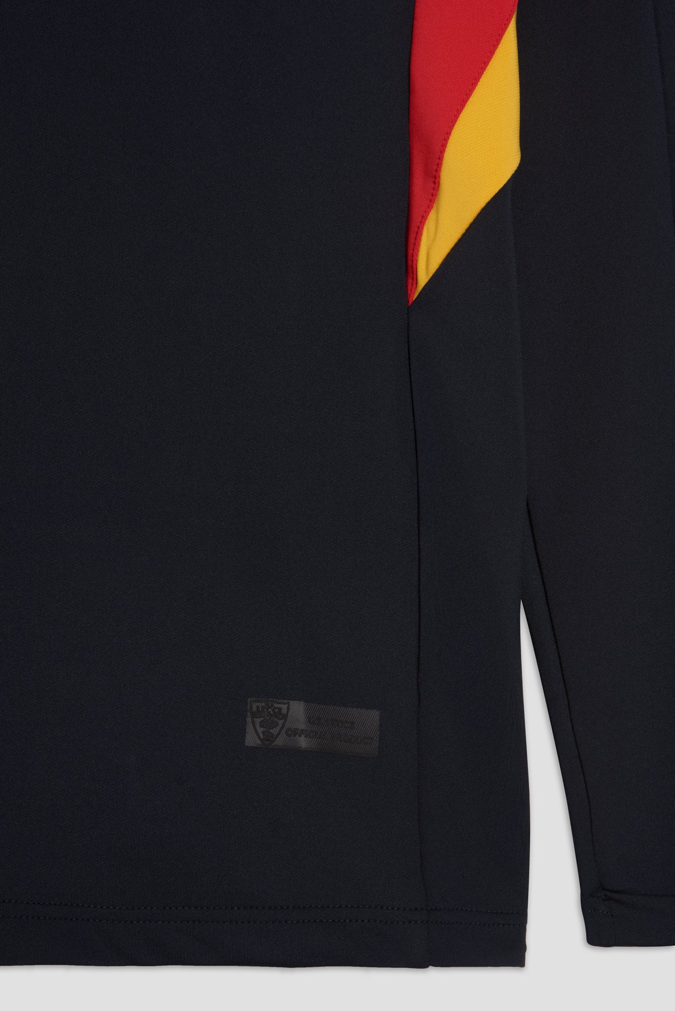 Blue Training sweatshirt 25/26